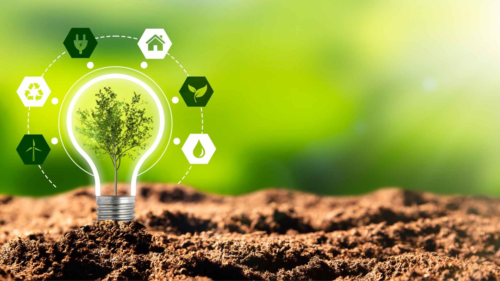 Sustainability in Business: How to Build a Greener and More Responsible Brand